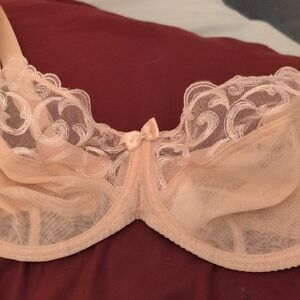 Lace Underwire Bra -34i Cream